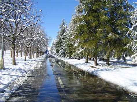 Ifrane Ski Resort - Morocco ! Pictorial Trip - Virtual University of Pakistan