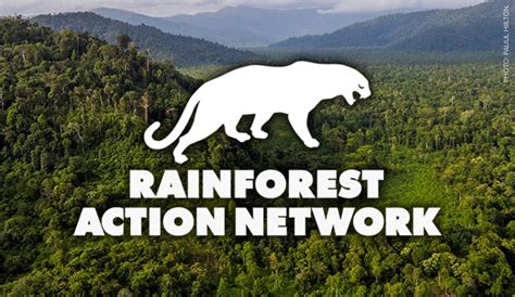 Rainforest Action Network Applauds Nestlé for Forest Footprint Announcement - Rainforest Action ...