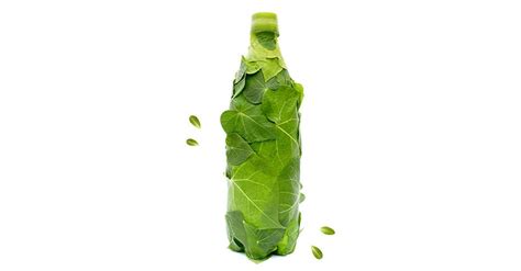 Biodegradable Water Bottles Market: Charting a Sustainable Future by ...