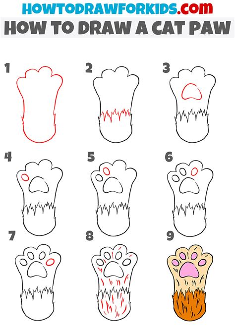 Learn How To Draw A Cat Paw Print Step By Step Free Printable Download ...