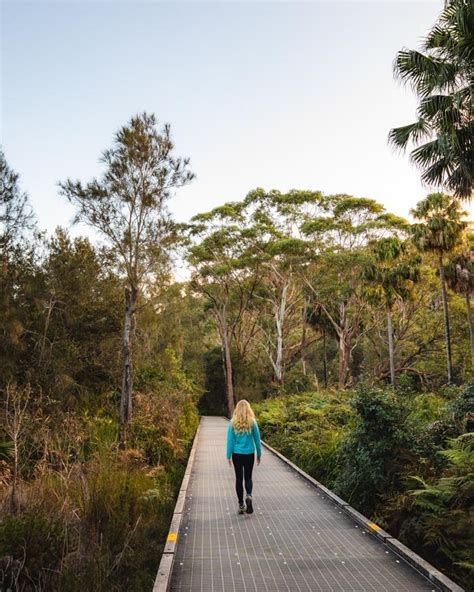 The Narrabeen Lagoon Trail & 6 other fun things to do at the lake ...