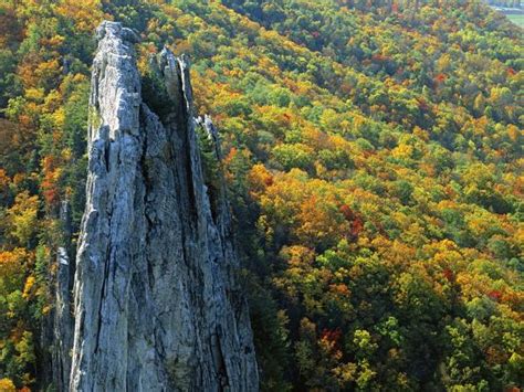 'Fall Colors, Monongahela National Forest West Virginia, USA ...