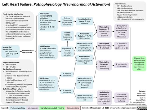 Left Heart Failure: Pathophysiology (Neurohormonal Activation ...