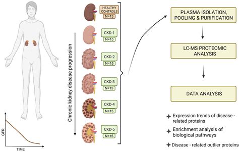 Chronic Kidney Disease Stages