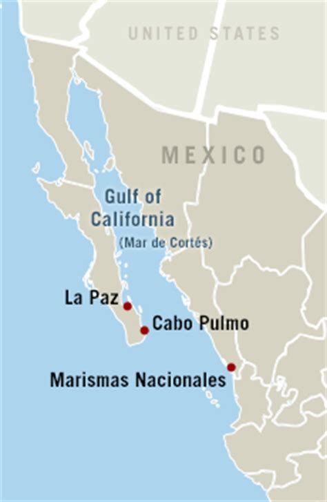 Gulf Of California Map - United States Map