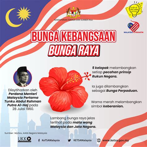 BUNGA KEBANGSAAN - BUNGA RAYA 🌺🌺 Tahukah anda? Sebelum Bunga Raya ...