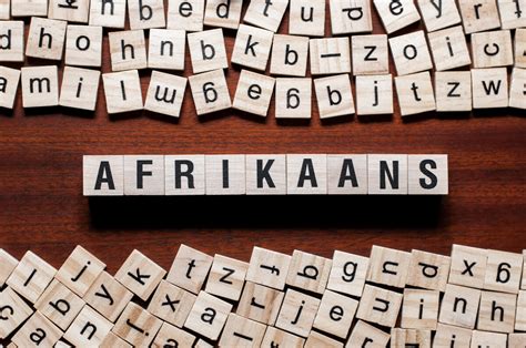 8 Best Books to Learn Afrikaans for Beginners and Beyond - Learn Languages From Home