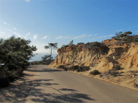 Torrey-Pines-State-Natural-Reserve – San Diego Beach Secrets