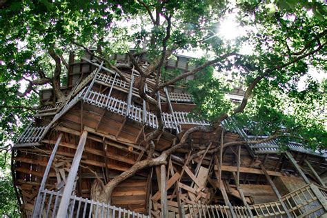 World’s Largest Treehouse Burns to the Ground – JLD SEO Marketing Top ...