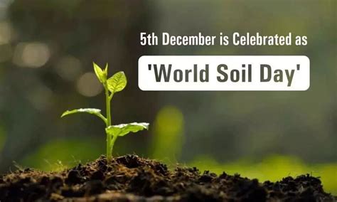 World Soil Day - December 5, 2023 - Happy Days 365