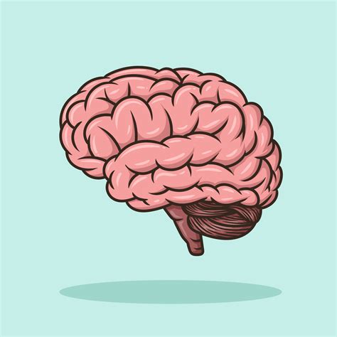 Brain Education Object concept Cartoon Icon Vector 8693142 Vector Art at Vecteezy