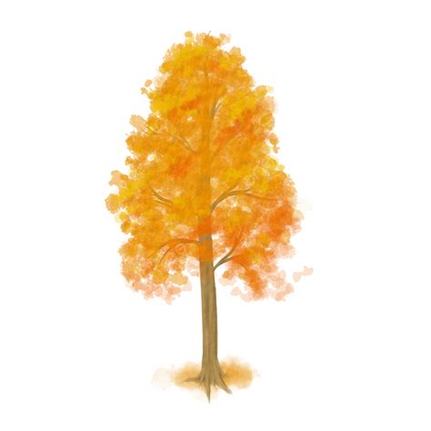 Watercolor Autumn Tree Illustration, Tree Drawing, Tree Sketch, Watercolor Autumn PNG ...
