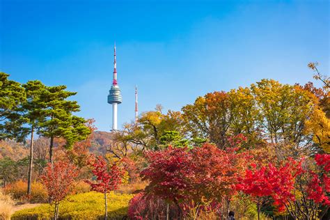 Namsan Tower & Namsan Park - Etourism