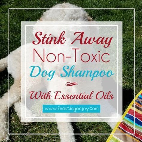 Stink Away DIY Non-Toxic Dog Shampoo with Essential Oils | Feasting On Joy | Recipe | Diy dog ...