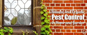 Natural and Organic Pest Control in the Home and Garden – ecogreenlove