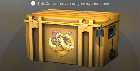 15 Best Cases To Open in CS:GO [2023]