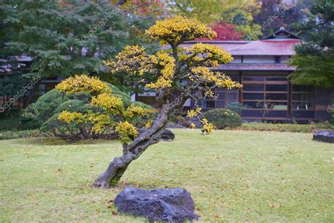 Koishikawa Korakuen Garden – Stock Editorial Photo © para827 #92019982