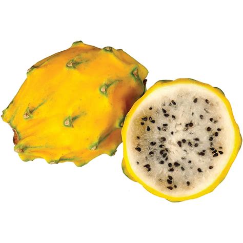 Fresh Yellow Dragon Fruit - Shop Fruit at H-E-B