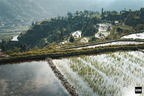 Guizhou Landscape :: Behance