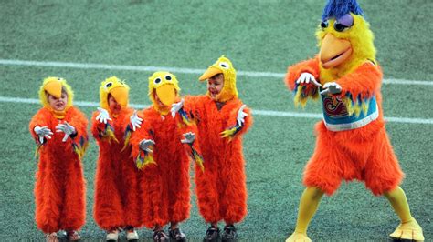 Where are they now? Ted Giannoulas still entertaining fans as San Diego Chicken mascot