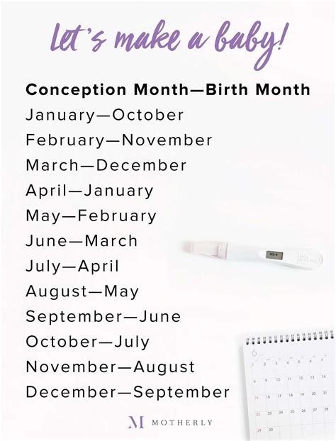 Month By Month Pregnancy Calendar