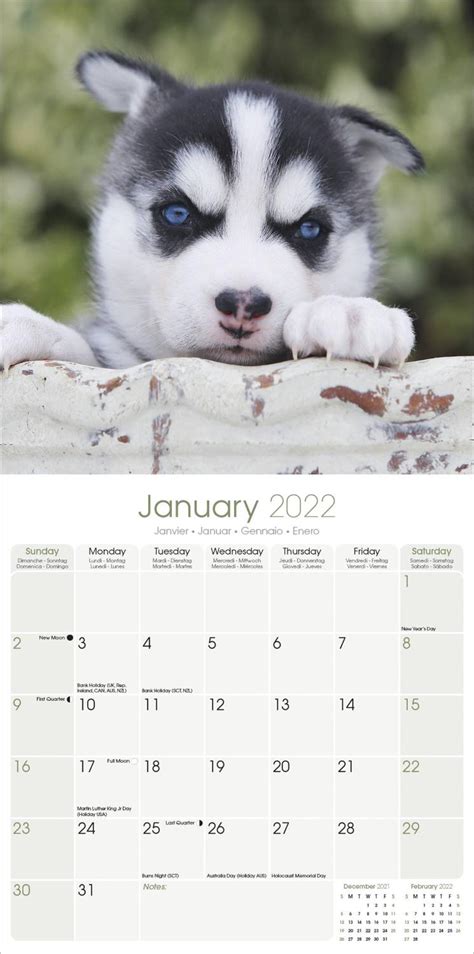 Siberian Husky Calendar | Dog Breed Calendars | Pet Prints Inc