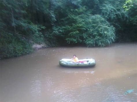 Tickfaw, Louisiana | Louisiana swamp, Louisiana, Backyard views