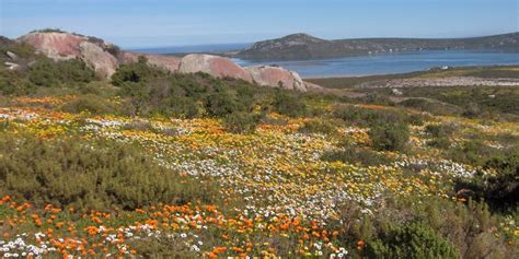 West Coast National Park Mountain Bike Trail - MTBOnline