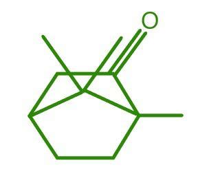 Camphor Formula - Structure, Properties, Uses, Sample Questions