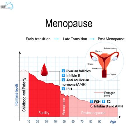 Menopause Hormone Levels Chart