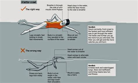 The Most Graceful front crawl technique, freestyle swimming looks so easy! | Endurance Sports ...