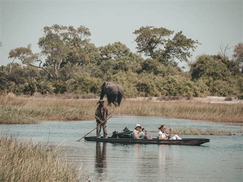 Okavango Mokoro Canoe Safari - EliteVoyage