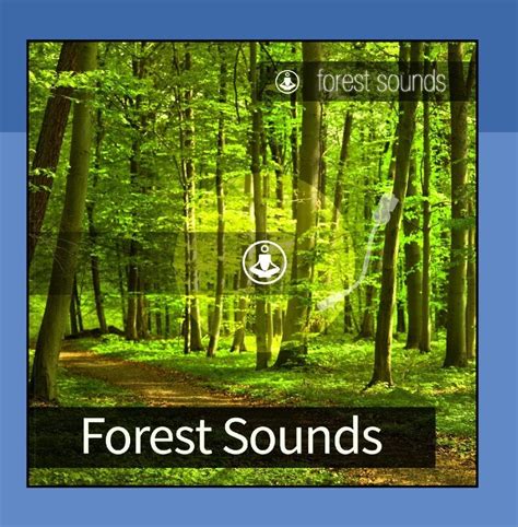 Forest Sounds: Amazon.co.uk: CDs & Vinyl