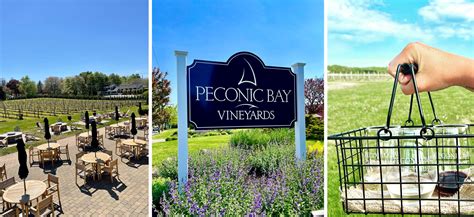 Peconic Bay Vineyards - 4 Stellar Wines and 4 Local Cheeses | Crush Wine Experiences