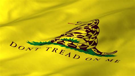 Don't Tread On Me Flag Wallpapers - Top Free Don't Tread On Me Flag Backgrounds - WallpaperAccess