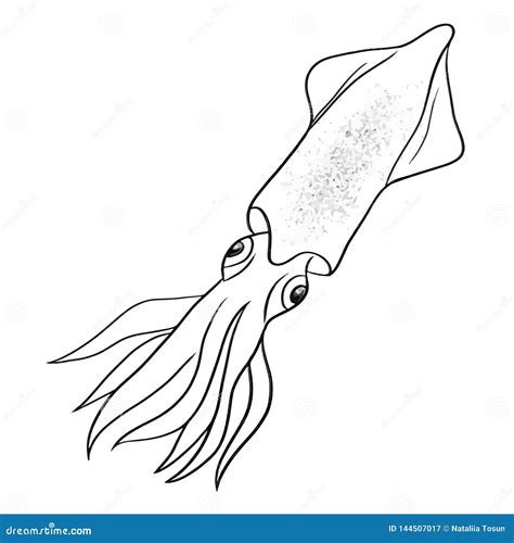 Beautiful Print Squid Line Vector Illustration Art. Stock Vector - Illustration of cartoon, cute ...