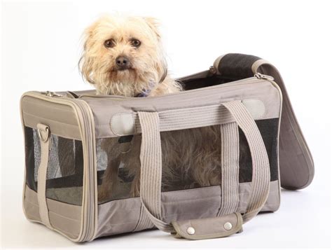 Airline Approved Pet Carrier (In Cabin) - Dog N Treats