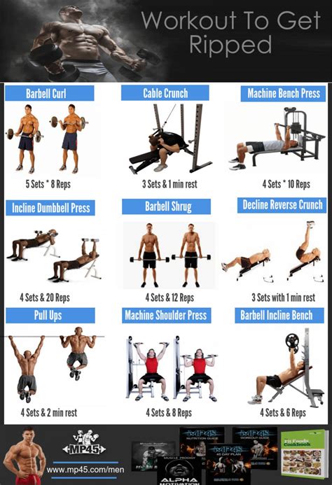 Follow These Top 9 Exercises To Get Ripped Fast by MP45 - Issuu