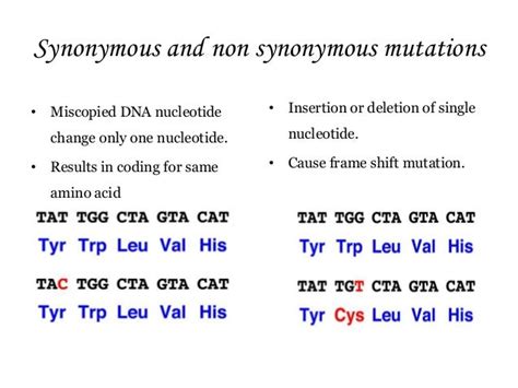 Codon bias as a means to fine tune gene