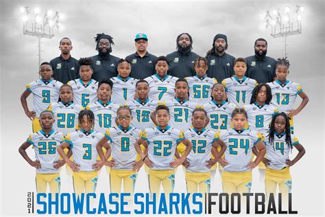 Showcase Sharks