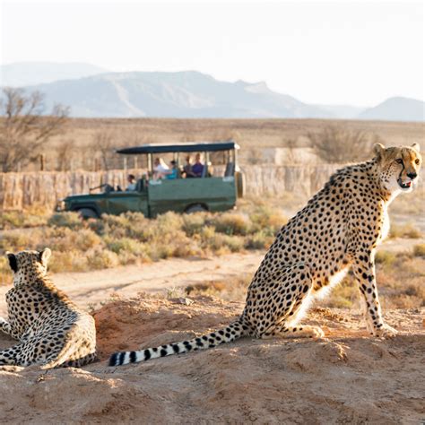 The top 10 safari lodges in africa – Artofit