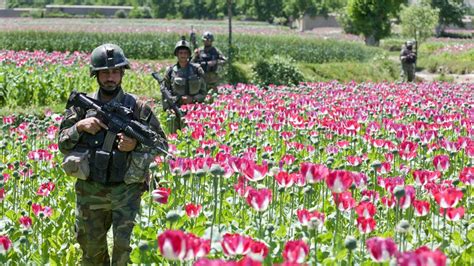 Release Afghan money or face mass migration, Taliban warns Europe ...