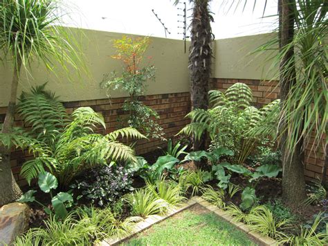 tropical gardens | Tropical Garden Tropical Garden Plants, Small ...