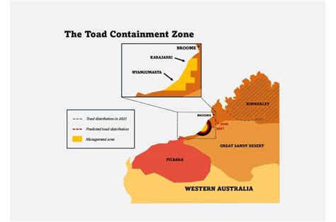 Can drying them out stop the cane toads' invasion of WA?