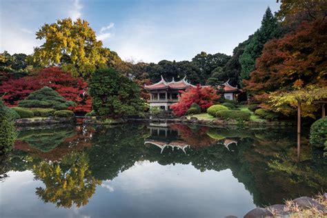 Shinjuku Gyoen National Garden - Tokyo.nl