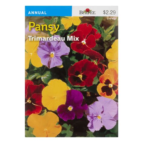 SB Pansy Seeds (175 mg) Delivery or Pickup Near Me - Instacart