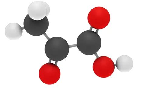 Pyruvic Acid Analysis Service - Creative Proteomics