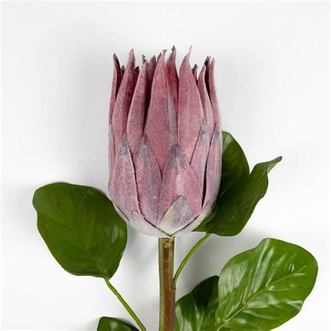 Artificial Protea Flower Stem - 66cm - Stunning Artificial Flowers