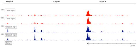 ATAC Seq Analysis Simplified | Basepair