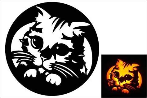 Pin by Abby Quinn on Halloween | Cat pumpkin stencil, Pumpkin stencil, Pumpkin stencils free